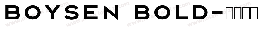 Boysen Bold字体转换